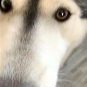 Meet your Posher, Susana